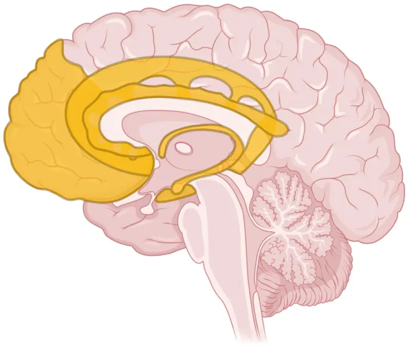 Increased emotional intelligence 